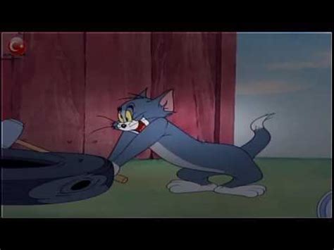 This is a list of characters in the tom and jerry animated short series. Tom and Jerry new episode, Tom's war with the ducks - YouTube
