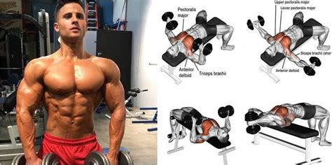 Dumbbell Exercises For Chest Muscles Target The Inner Outer Lower And