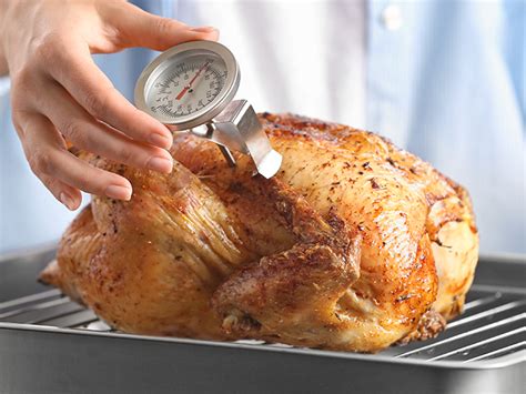 Where To Put Thermometer In Turkey And More Cookthink