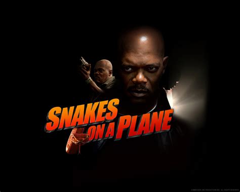 Des Serpents Dans Lavion Snakes On A Plane