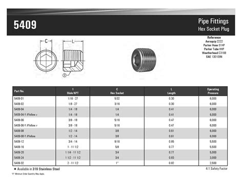 Hex Socket Pipe Plug Steel 5409 06