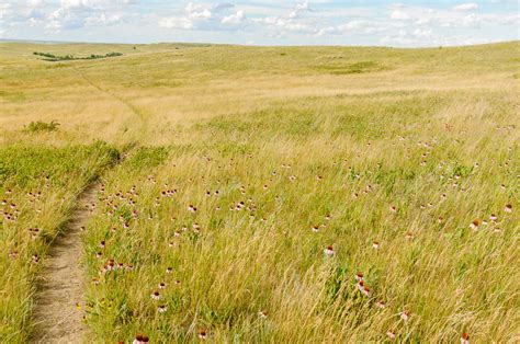 Zenfolio Trailside Photography North Dakota Shortgrass Prairie