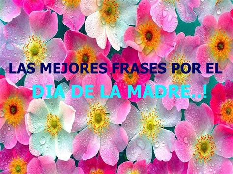 Frases Especiales Para Mi Adorada Mama Feliz Dia De La Madre Frases