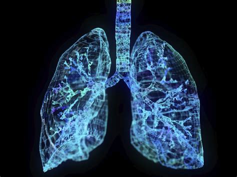 Check spelling or type a new query. Lungs: Anatomy, Function, and Treatment