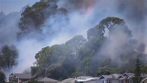 Large Blaze Flares Up Near Homes Near Nelson Cbd Newshub