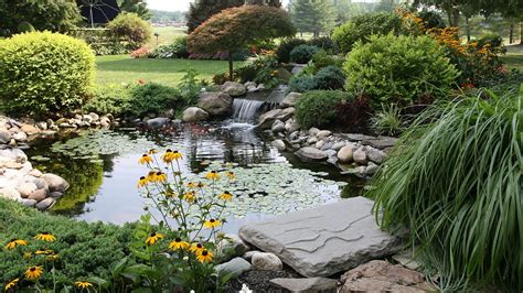 We did not find results for: How to Keep Your Pond Water Clear - YouTube