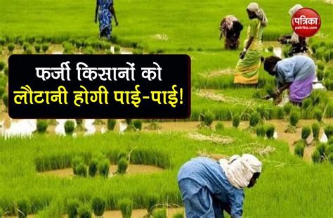 Pm kisan yojana doccument list. PM Kisan Yojana: If you are also getting 6000 rupees as a ...
