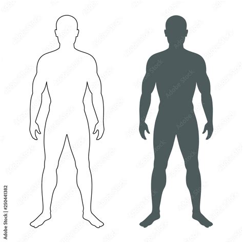 Male Human Body Silhouette And Contour Isolated Mens Symbols On White Background Vector