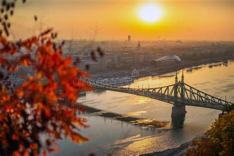 Budapest Hungary Autumn Foliage With Liberty Bridge At Sunrise Stock