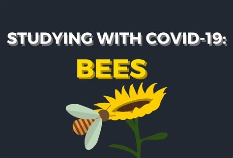 Studying With Covid 19 Bees The Education Hotel