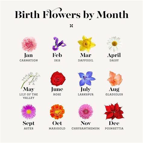 Birth Month Flowers Flower Meanings Color Meanings Cute Tattoos