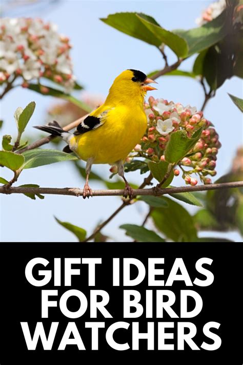 T Ideas For Backyard Bird Watchers 15 Incredible Ts 2021 In