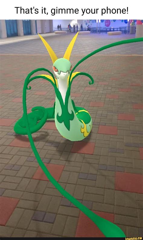 Serperior Memes Best Collection Of Funny Serperior Pictures On Ifunny