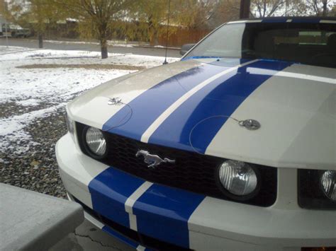 Shelby Hood Pins Ford Mustang Forum