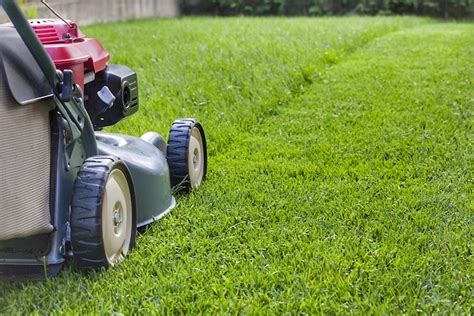 The Striking Similarity Between My Sons Lawn Mowing Business And