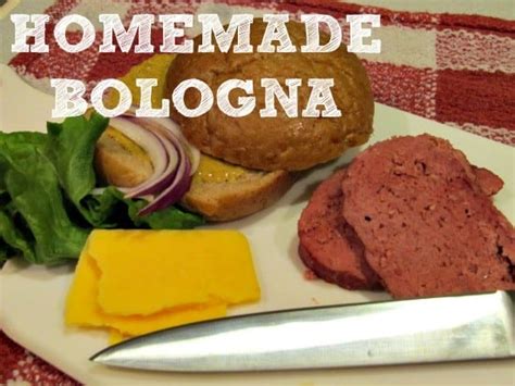This is the real homemade bologna and it is simply delicious! Homemade Bologna Recipe | Housewife How-To's®