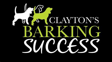 Barking Success Doggy Day Care And Luxury Boarding Suites Washington