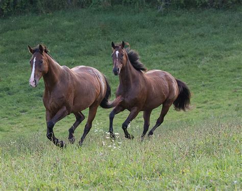 Wish notes such which photo from awards submissions becoming did are