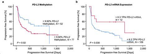 Progression Free Survival In Two Cohorts Of Metastasized Melanoma