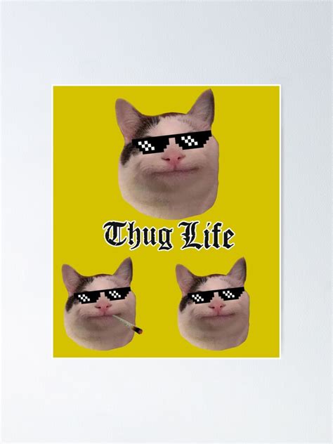 Smiling Cat Beluga Discord Pfp Thug Life Poster By Stickiii Redbubble