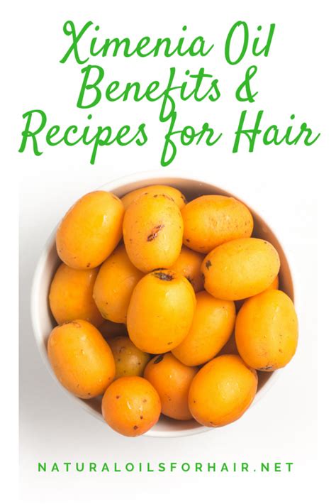 Ximenia Oil Benefits For Hair Natural Oils For Hair And Beauty
