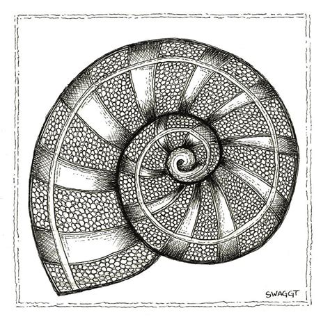Zentangle Drawings Mandala Drawing Zentangle Patterns Art Drawings