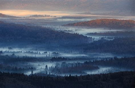 Wallpaper 1300x851 Px Blue Forest Germany Hills Landscape Mist