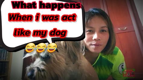 Ep 75 What Happenswhen I Was Act Like My Dog🐕🐕🐕dog Youtube