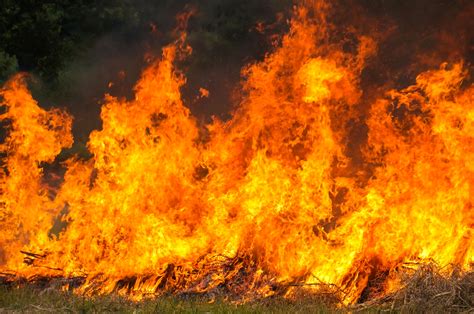 El área de defensa contra incendios forestales es la unidad ministerial encargada de homogeneizar, mantener, elaborar y publicar esta información estadística, a partir de los datos que remiten las. Incendios forestales en Bolivia acaban con más de 728.000 ...