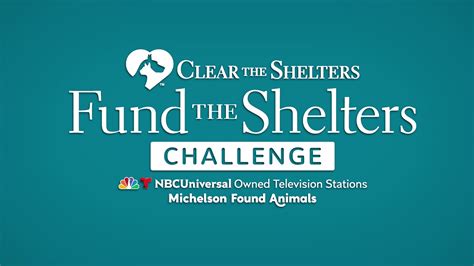 Clear The Shelters Fund The Shelters Challenge 2019 Youtube