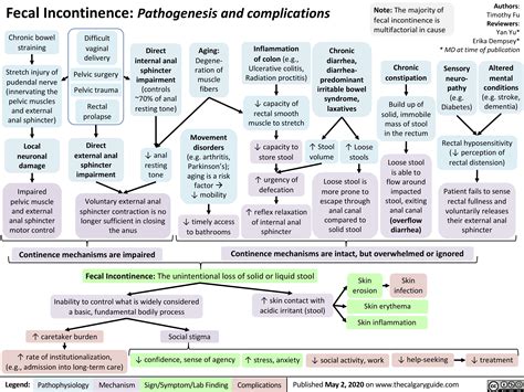 Fecal Incontinence Pathogenesis And Complications Continence Grepmed