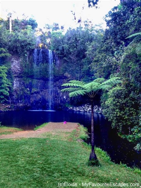 Cairns Waterfall Circuit Self Drive Itinerary With A Map To View