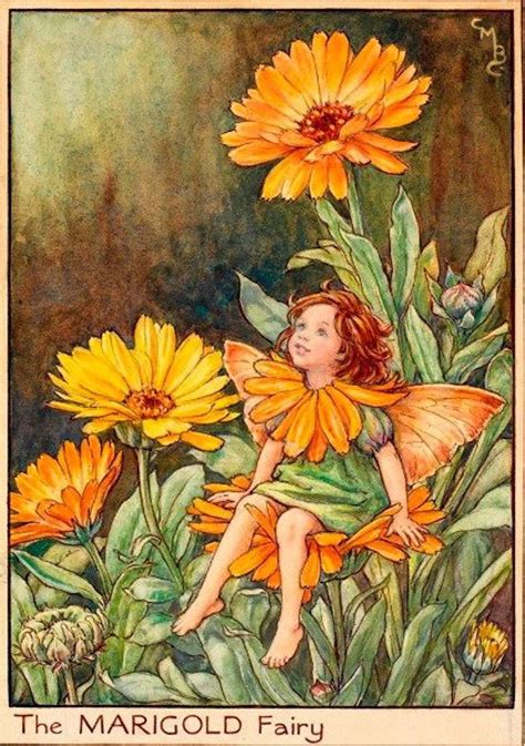 Cicely Mary Barker Vintage Wall Art Vintage Prints Fairy Pictures