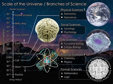 The Scale Of The Universe Mapped To The Branches Of Science With