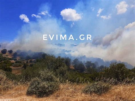 Φωτια ευβοια 14 αυγ 2019 | 20:02 φωτιά εύβοια: Εύβοια: Φωτιά ξέσπασε στους Ραπταίους [εικόνες & βίντεο ...