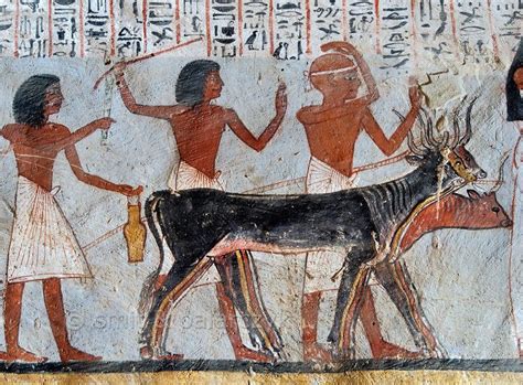 Egypt Tombs Of Luxor Smit And Palarczyk Ancient Egyptian Paintings Egypt Egyptian History