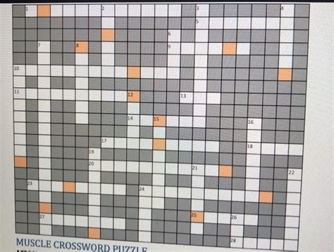 The bones of the skeleton store energy in the form of lipids in areas of yellow bone. Solved: 3 TTTT DI MUSCLE CROSSWORD PUZZLE MUSCLE CROSSWORD ...