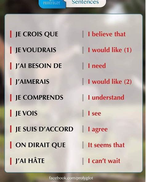 French sentence starters | Basic french words, Useful french phrases ...