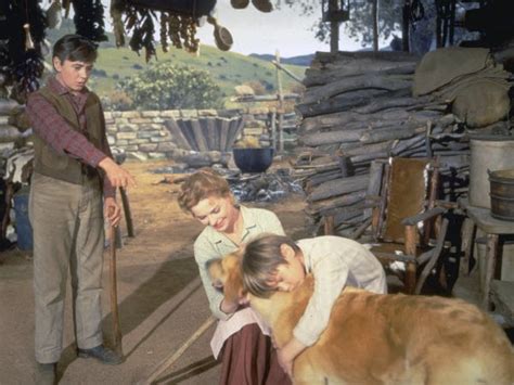 We can't seem to find the page you were looking for. Category:Old Yeller characters | Disney Wiki | Fandom ...