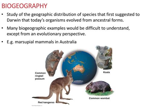 Biogeographical Evidence Of Evolution