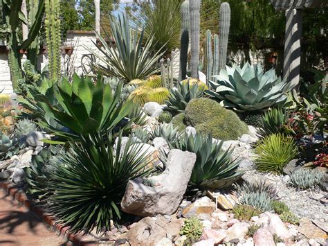 Cactus And Succulent Garden At Sherman Gardens Echoes