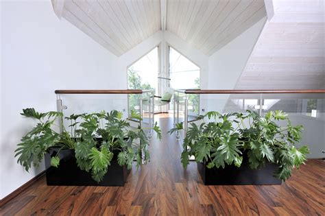 A reclaimed stock trough was repurposed as a container at an organic farm and rural wedding venue. Two fibreglass plant troughs with a black surface decorate an interior area. For more plant ...