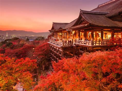 Forget Cherry Blossoms — Why Fall May Be The Best Time To Visit Japan
