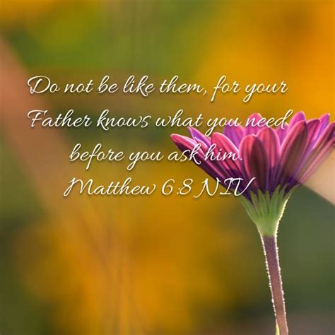 Matthew 68 Do Not Be Like Them For Your Father Knows What You Need Before You Ask Him New