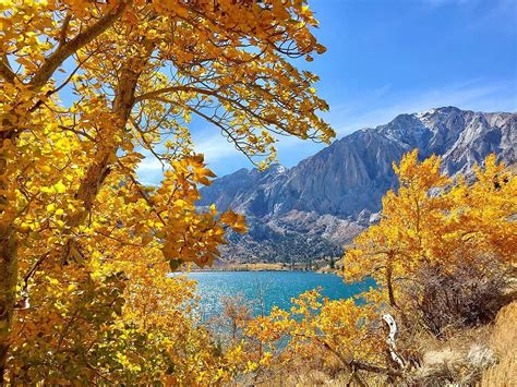 Where To See Fall Leaves In Southern California