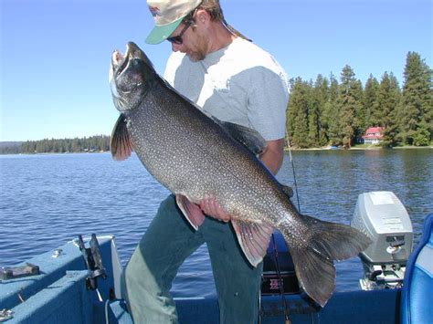 Visitors enjoy fishing, canoeing and exploring local trails. Payette Lake's fishing is at a crossroads, which way do ...