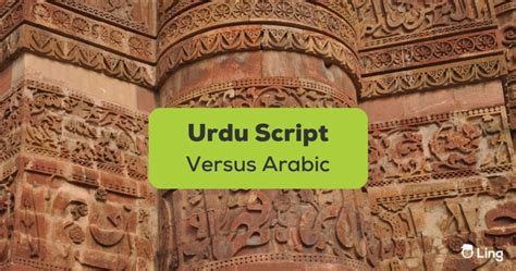 1 Best Guide About Urdu Script Versus Arabic Ling App