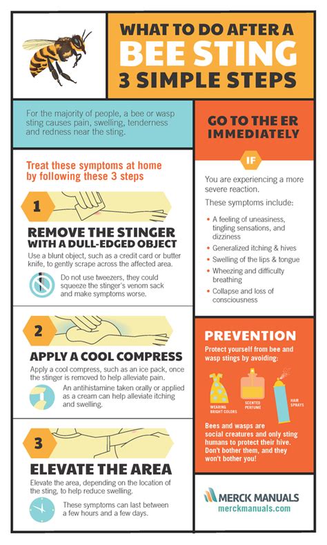 What Do To In Case Of A Bee Sting Coolguides In 2020 Remedies For