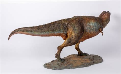 New Arrival A Paleontological Reconstruction Of Tyrannosaurus Rex