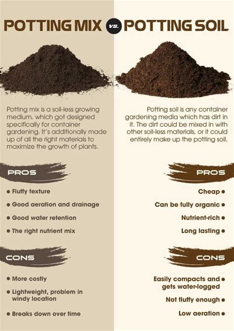 Can i use cactus soil and add perlite? Pin by Springtime Cottage on Home ideas in 2020 | Potting ...